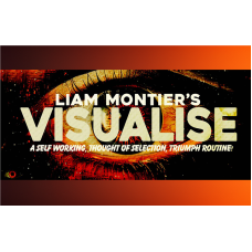 Visualise By Liam Montier(Instant Download)