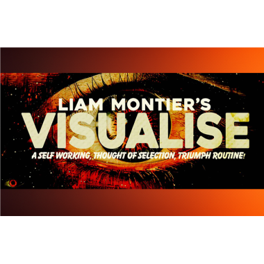 Visualise By Liam Montier(Instant Download)