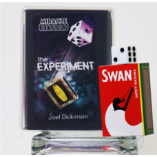 The Experiment - Joel Dickinson