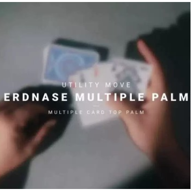 Erdnase Multiple Palm By Benjamin Earl